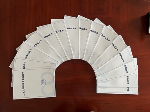 重磅！《二氧化碳熱泵發(fā)展白皮書(shū)》正式印發(fā)